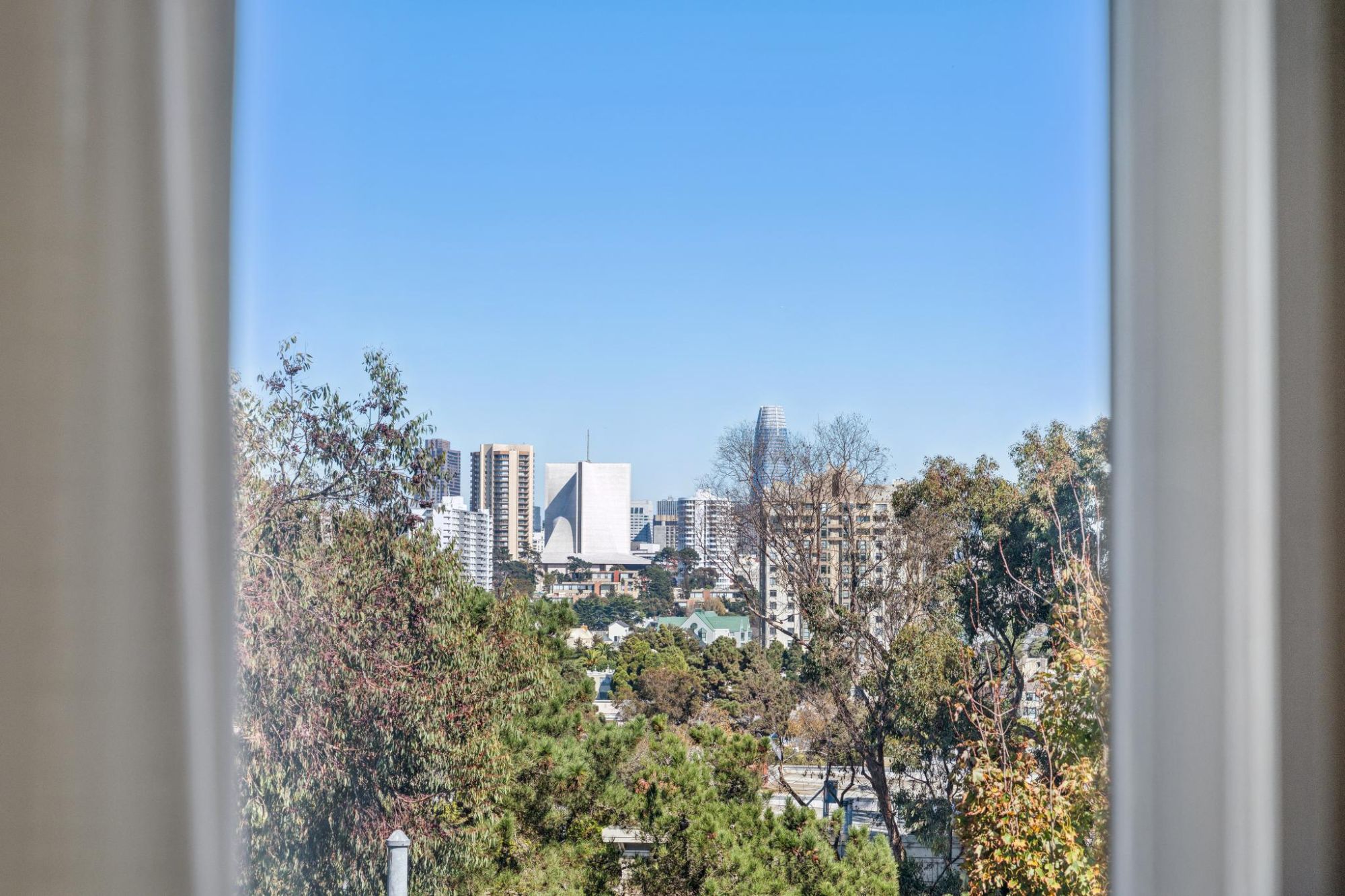 View over trees toward the downtown skyline