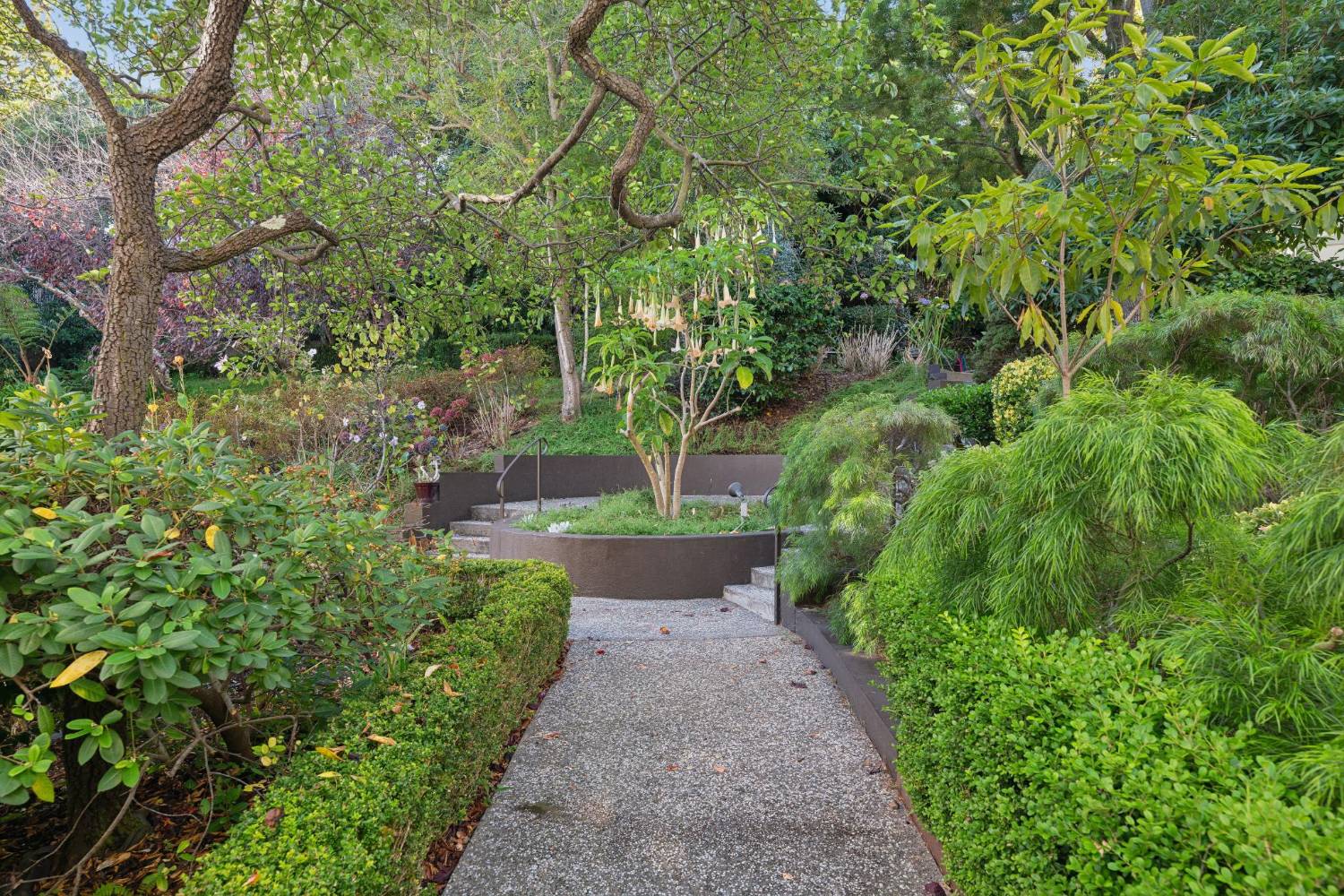Winding garden path through mature landscaping