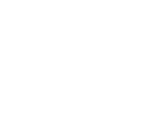 Lisa Zahner